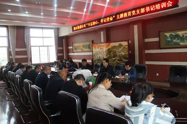 隴運集團(tuán)公司召開“不忘初心、牢記使命”主題教育黨支部書記培訓(xùn)會